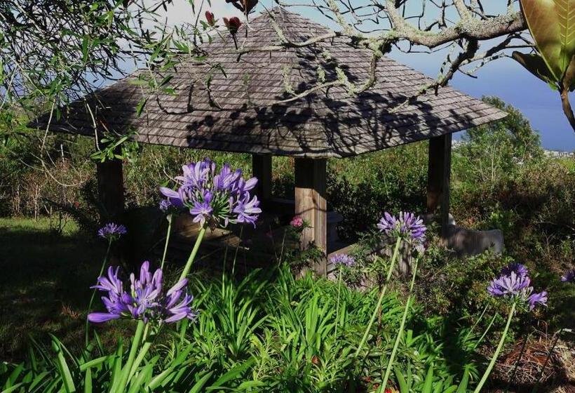 پانسیون Villa Laurina