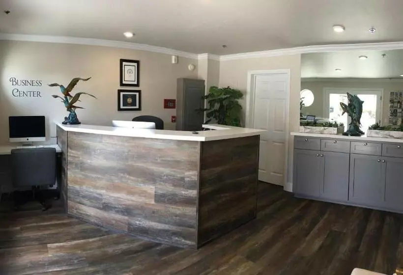 ユースホステル Estero Inn