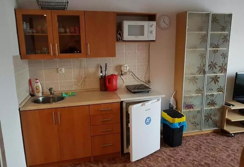 پانسیون Apartment Příbram