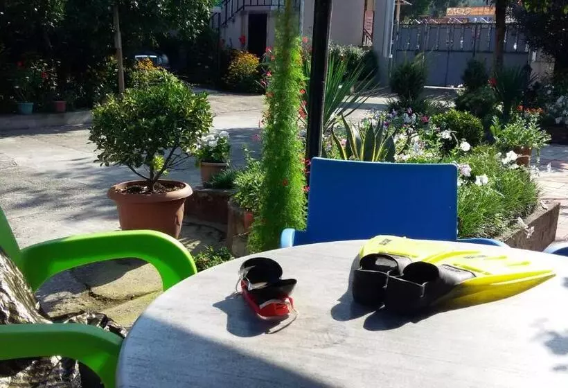 پانسیون Guest House Roman/gonio
