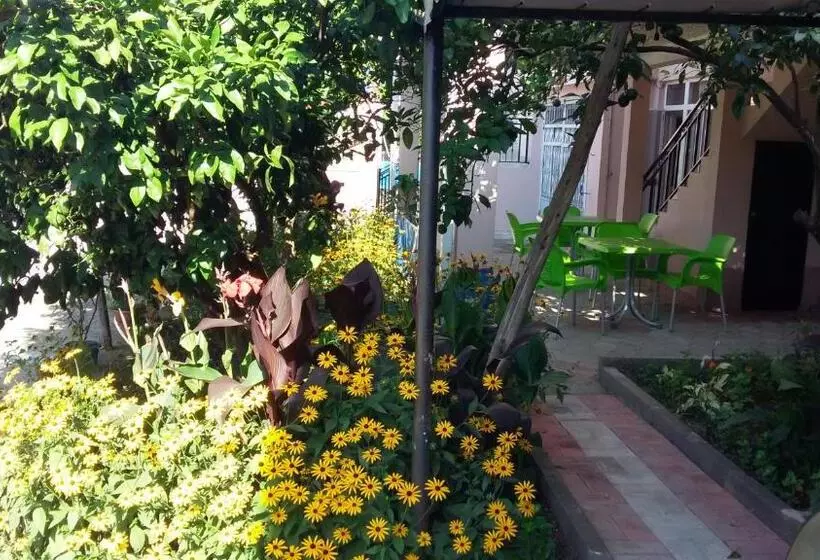 پانسیون Guest House Roman/gonio