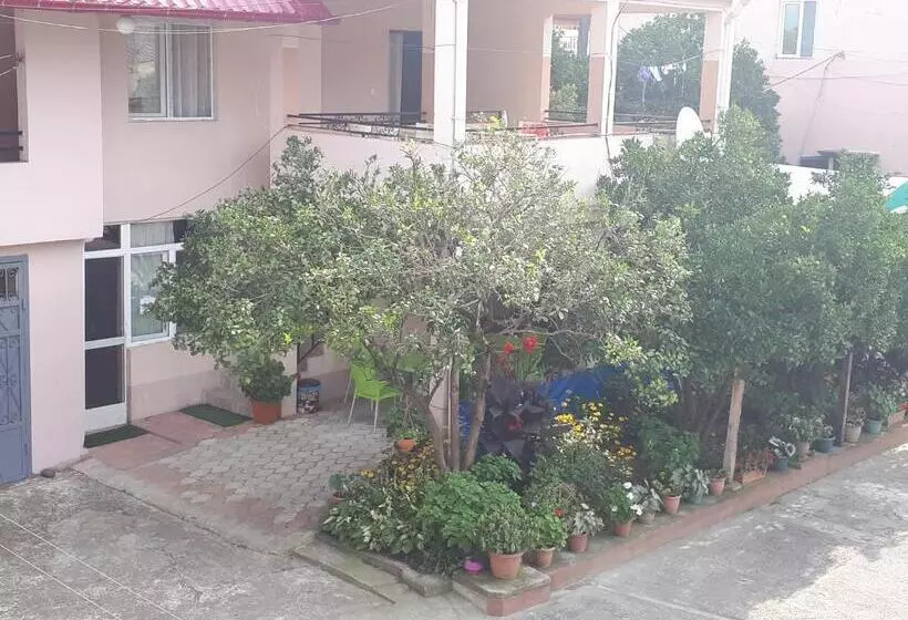 پانسیون Guest House Roman/gonio