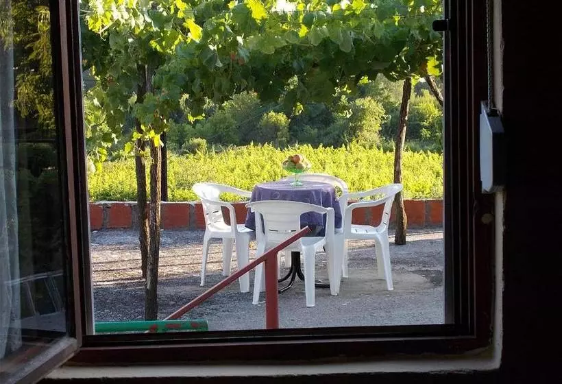 پانسیون Guesthouse Feel Lake