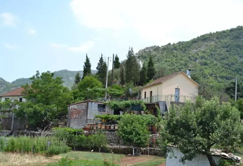 پانسیون Guesthouse Feel Lake