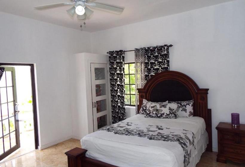 پانسیون Little Savoy Guest House