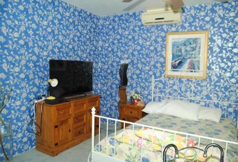 پانسیون Little Savoy Guest House