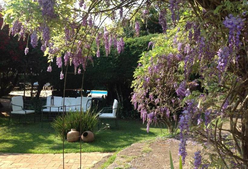 پانسیون Pousada Da Bia