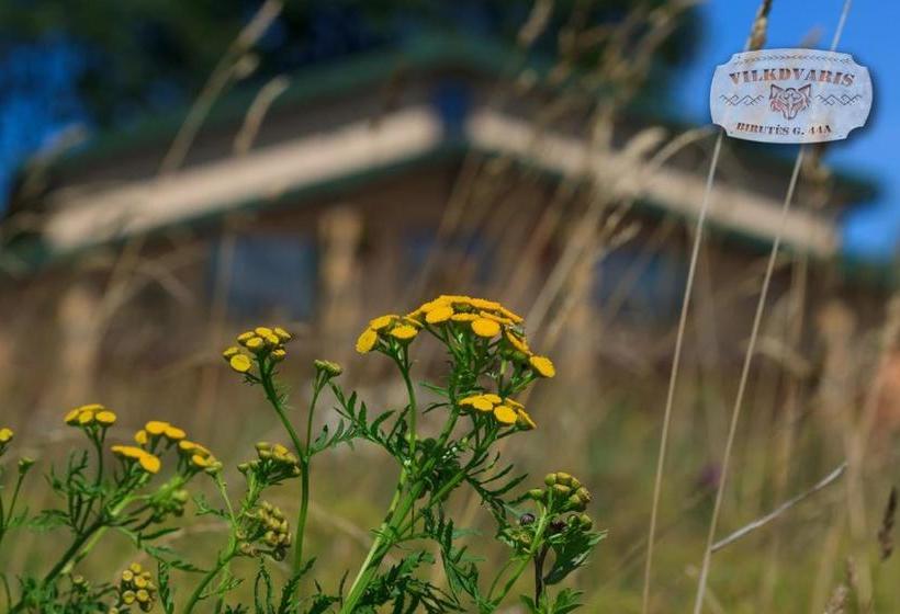 پانسیون Vilkdvaris