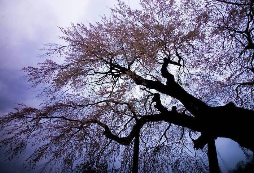 Pensão Worldtreck Dinner & Guesthouse Pise