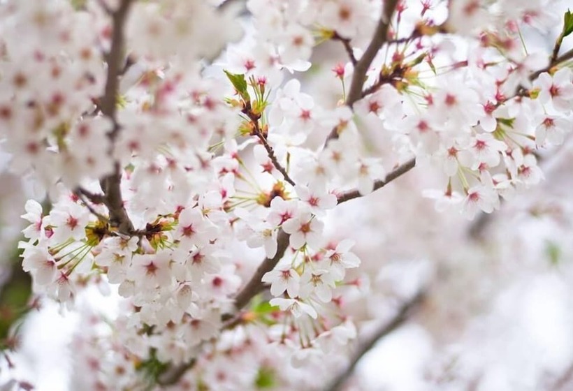 Pensão Worldtreck Dinner & Guesthouse Pise