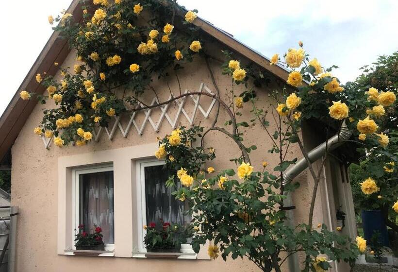 펜션 Guest House Rózsakert