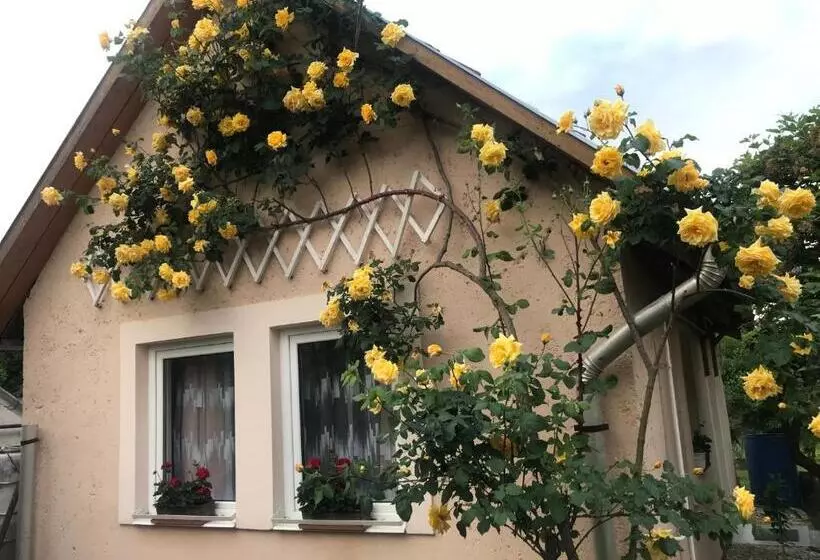 Majatalo Guest House Rózsakert