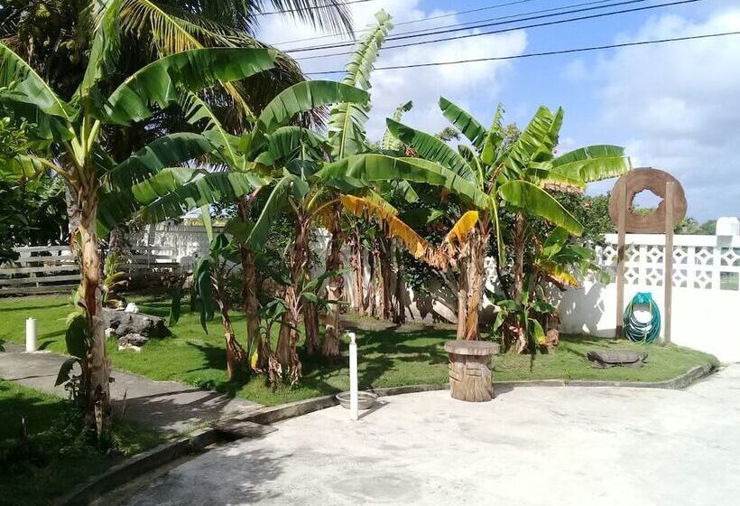 فندق صغير Bamboleo Inn Belize