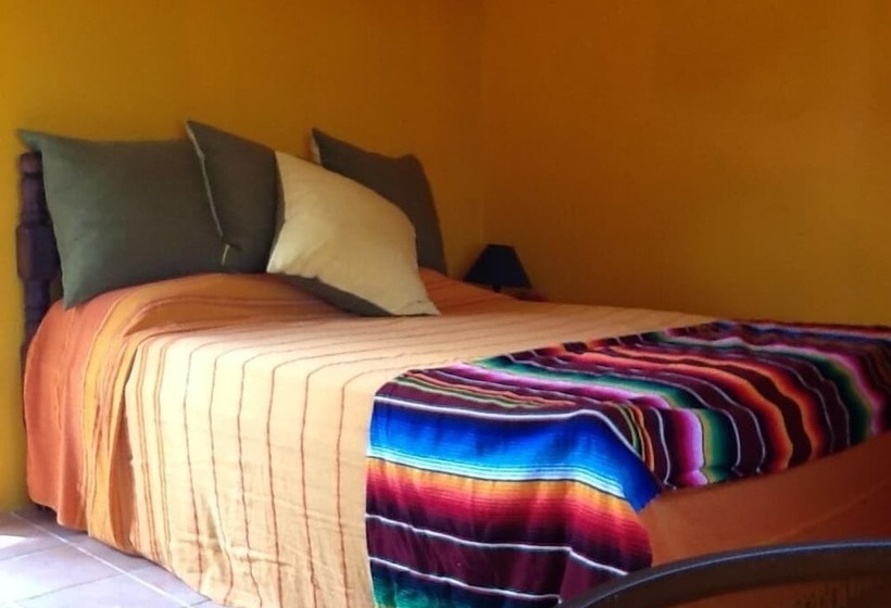 فندق صغير Bamboleo Inn Belize