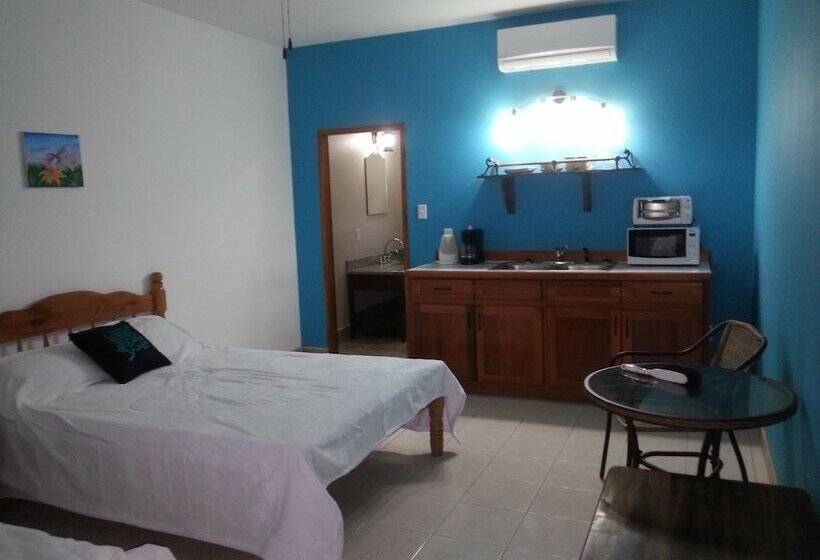 فندق صغير Bamboleo Inn Belize