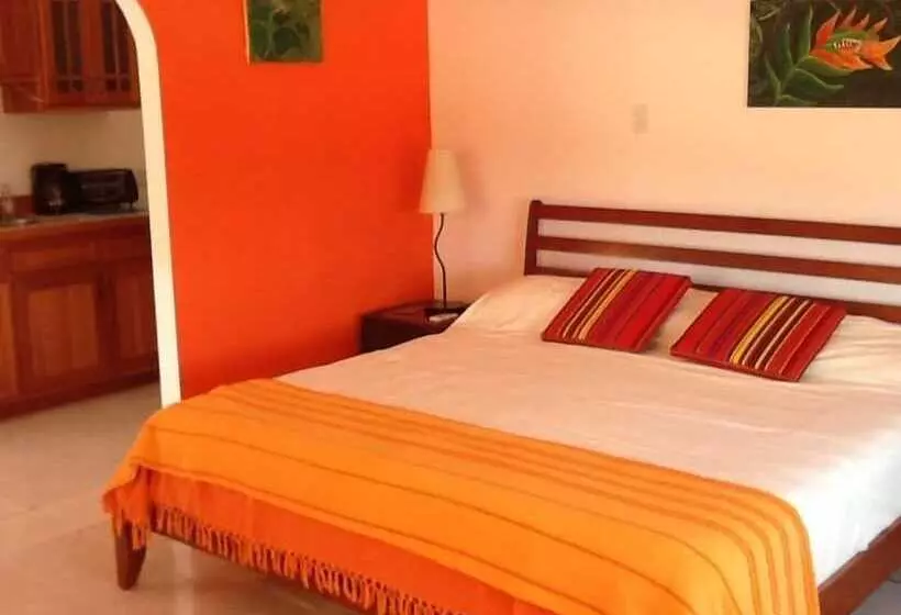 Retkeilymaja Bamboleo Inn Belize