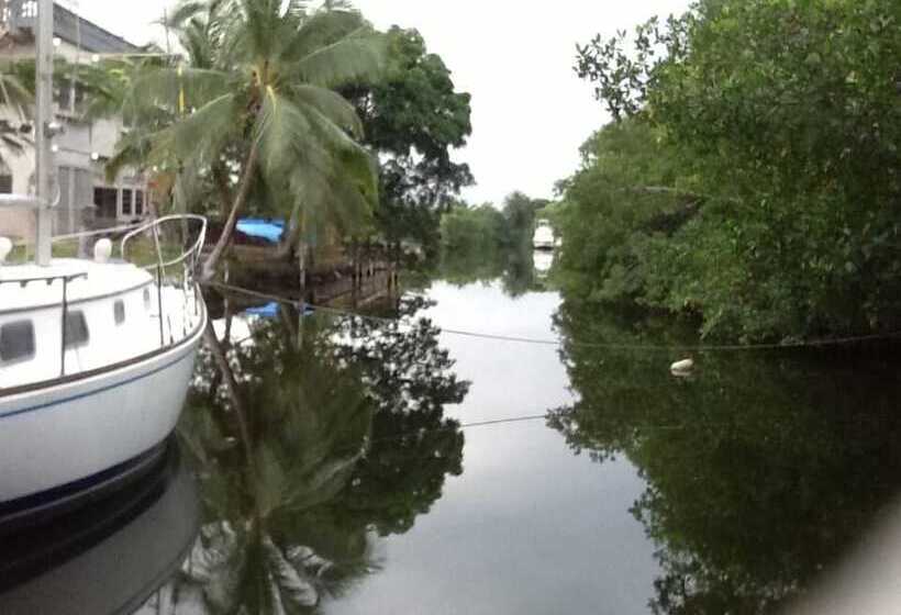 فندق صغير Bamboleo Inn Belize