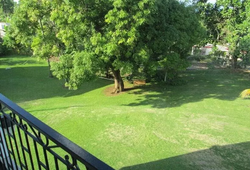 هاستل Paradise Inn