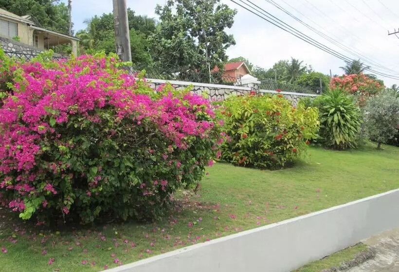 هاستل Paradise Inn