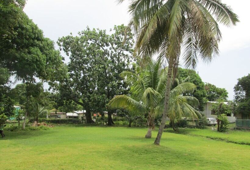 هاستل Paradise Inn