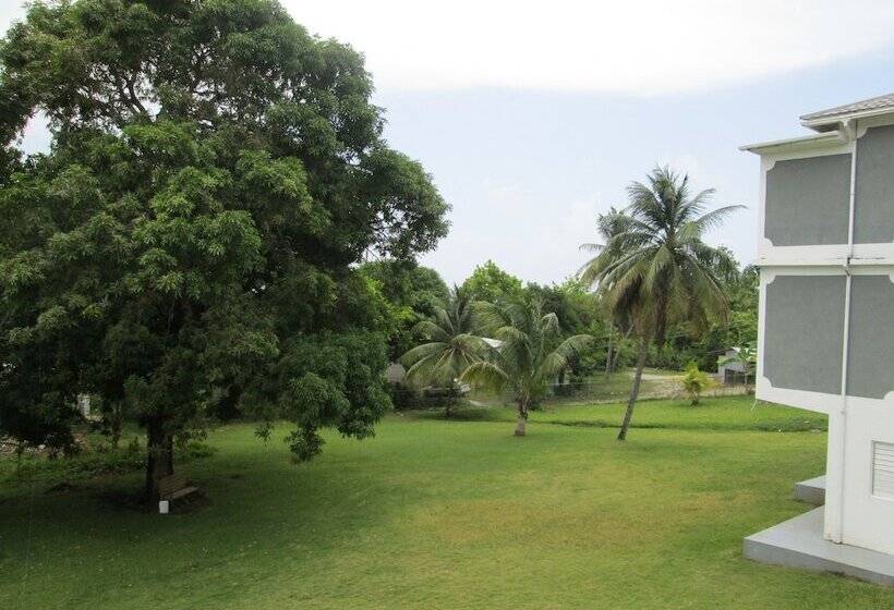 هاستل Paradise Inn