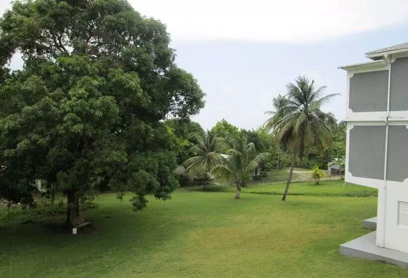 هاستل Paradise Inn