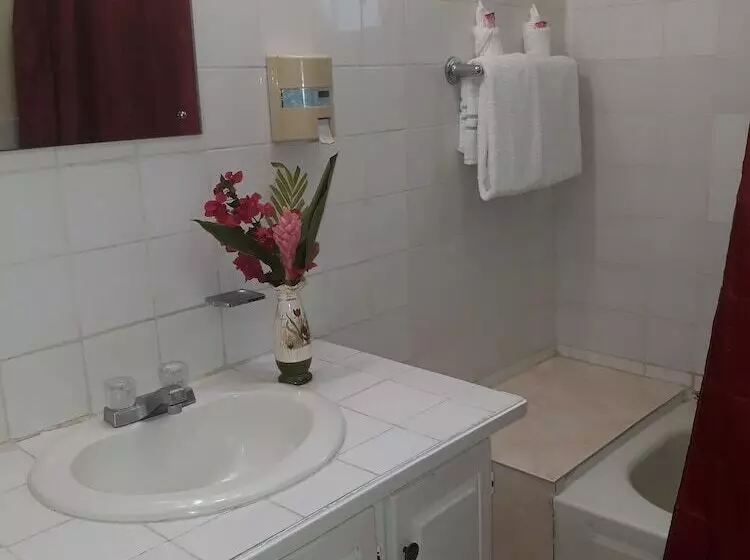 هاستل Paradise Inn