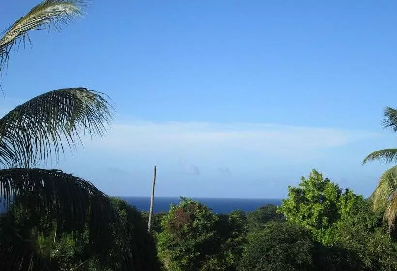 هاستل Paradise Inn