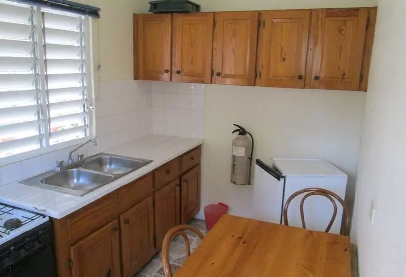 هاستل Paradise Inn