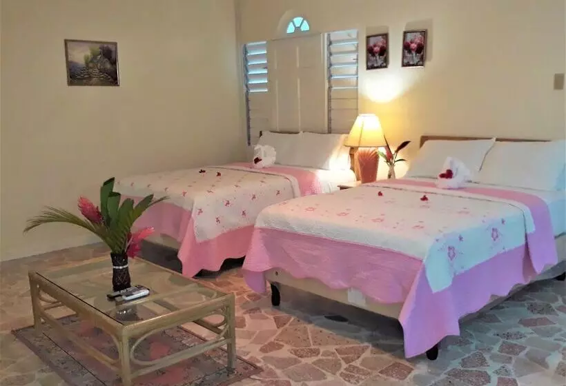 هاستل Paradise Inn