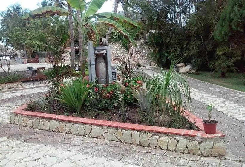 پانسیون D  Franchesis Hostal