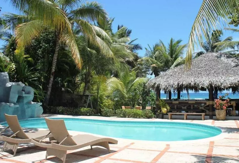 پانسیون D  Franchesis Hostal