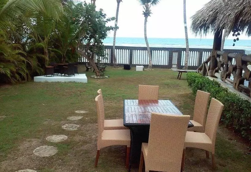 پانسیون D  Franchesis Hostal