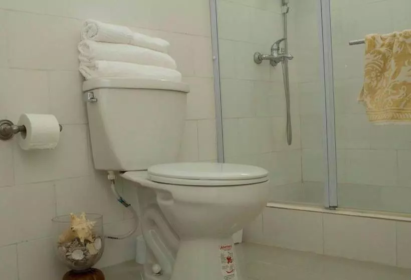 پانسیون D  Franchesis Hostal