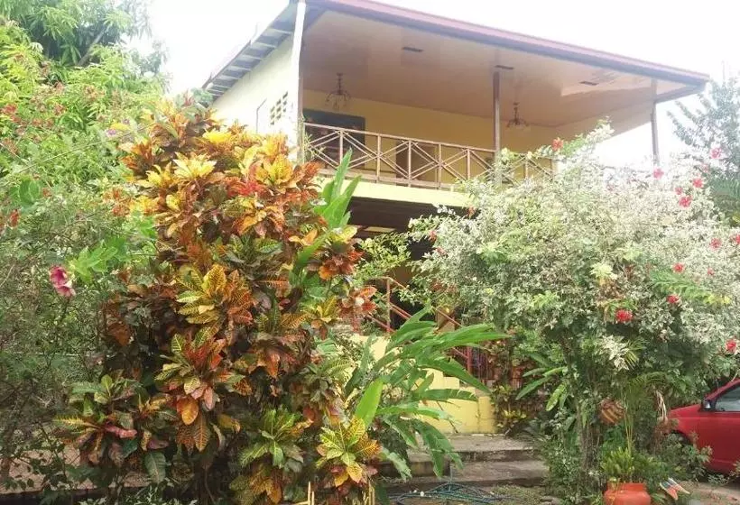 ペンション Hostal Doña Maria