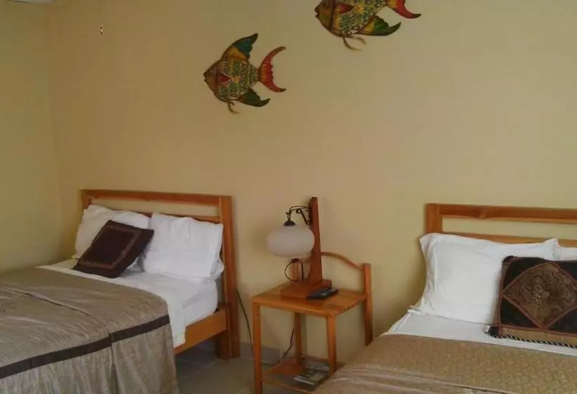 ペンション Hostal Doña Maria