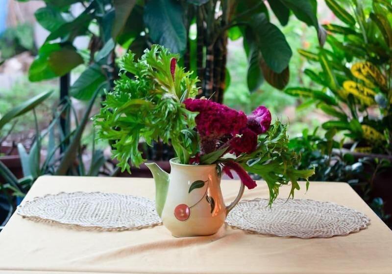 Pension Hostal Tongo Reef