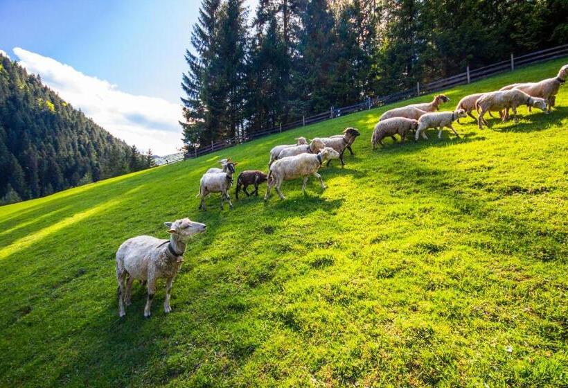 فندق U Dobrého Pastiera