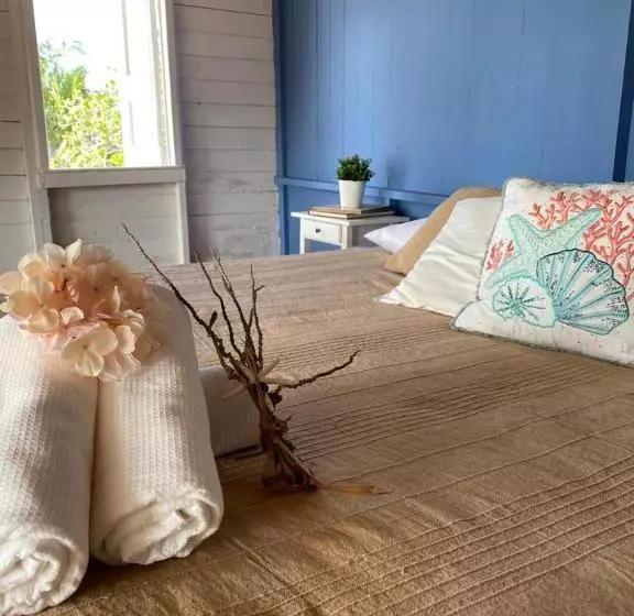 ユースホステル Islander House On Rocky Cay Beach