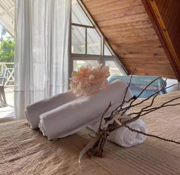 ユースホステル Islander House On Rocky Cay Beach