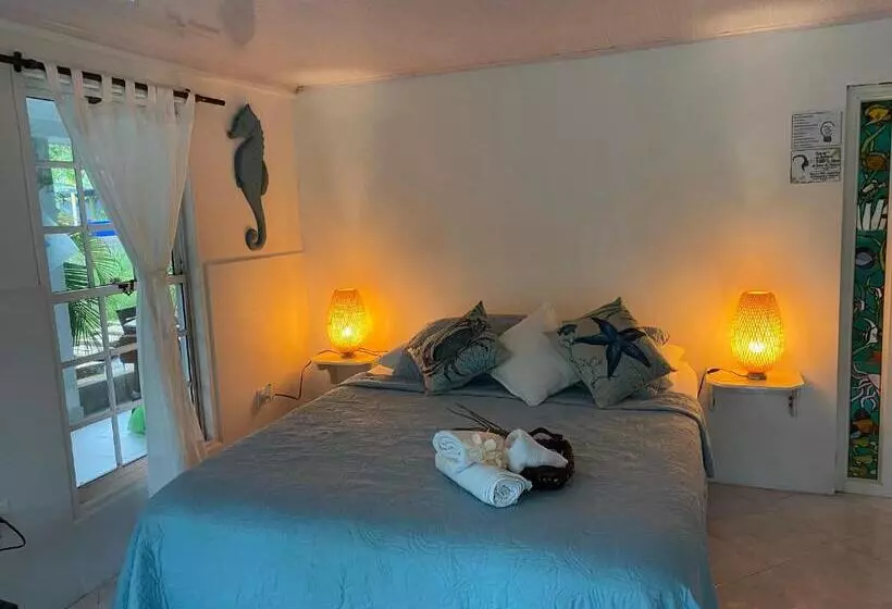 ユースホステル Islander House On Rocky Cay Beach