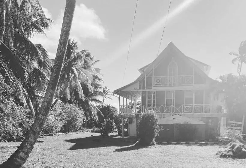 ユースホステル Islander House On Rocky Cay Beach