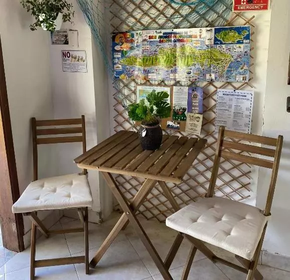 ユースホステル Islander House On Rocky Cay Beach