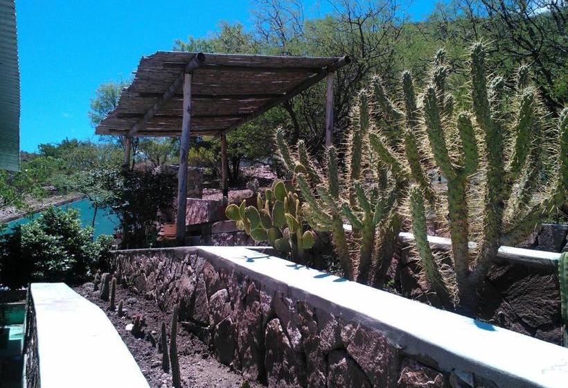 ユースホステル Kailash Posada