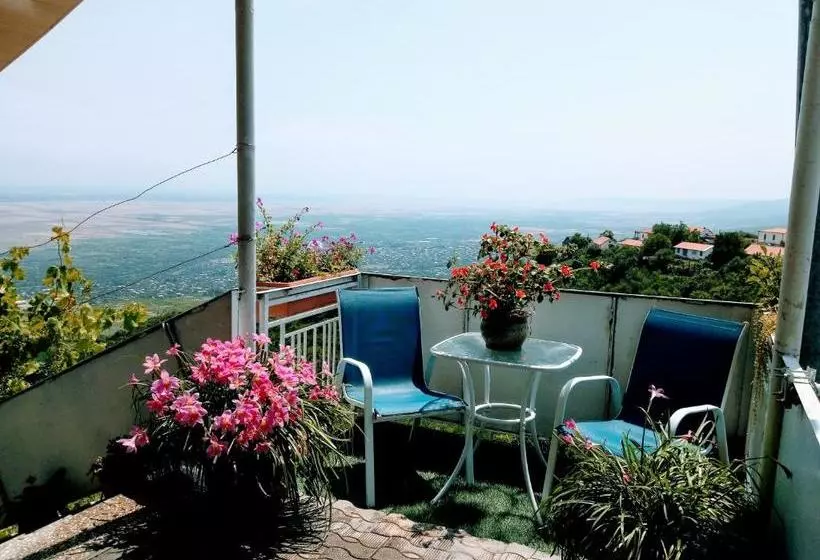 پانسیون Abramichi Guest House