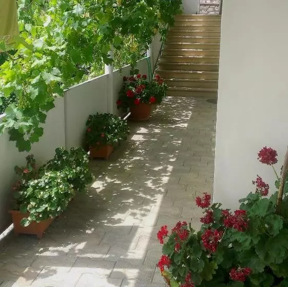پانسیون Abramichi Guest House