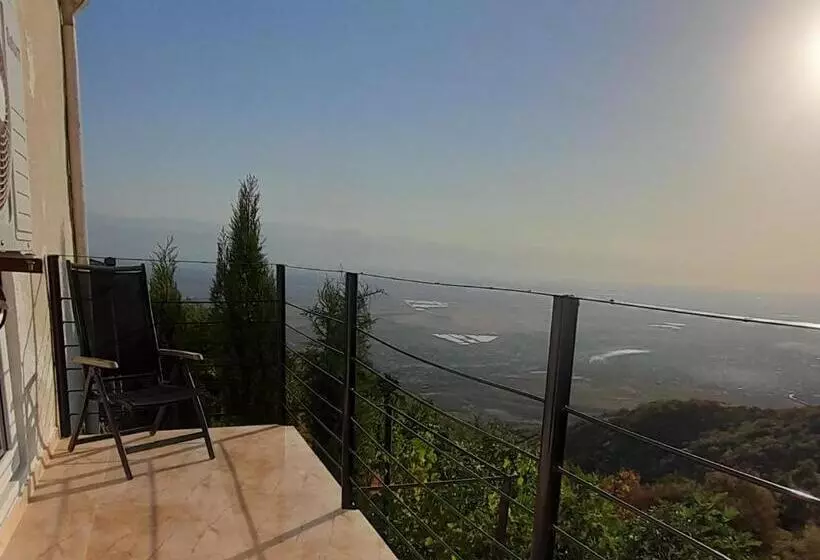 پانسیون Abramichi Guest House