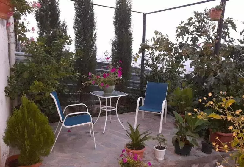 پانسیون Abramichi Guest House