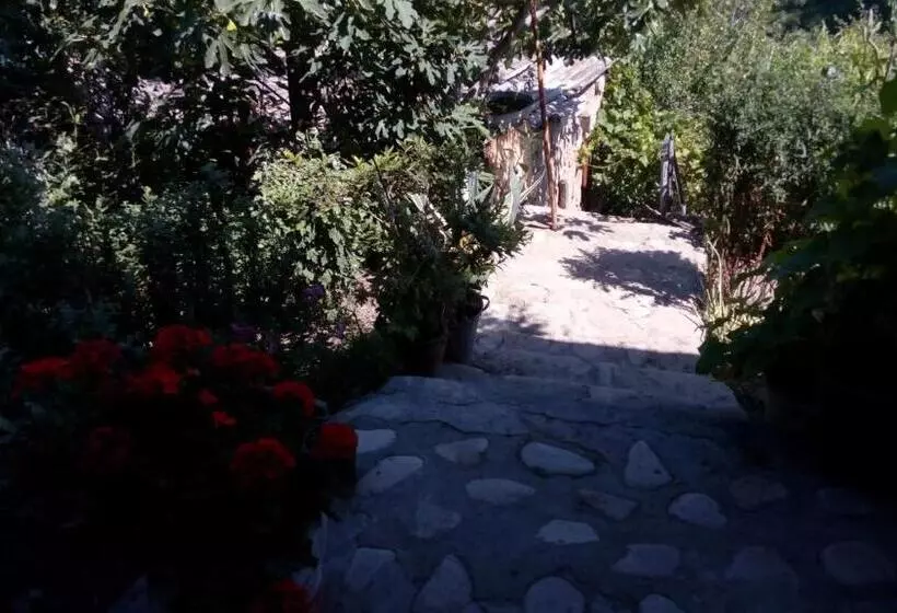 پانسیون Abramichi Guest House