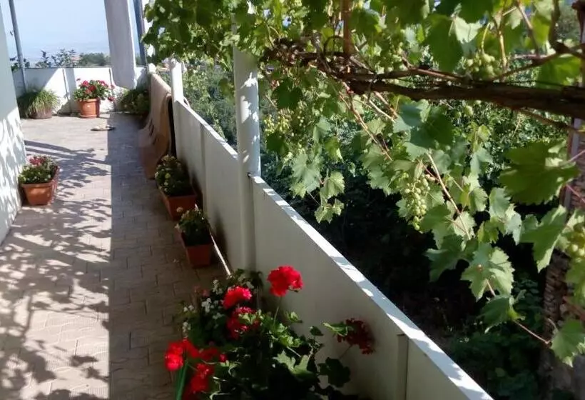 پانسیون Abramichi Guest House